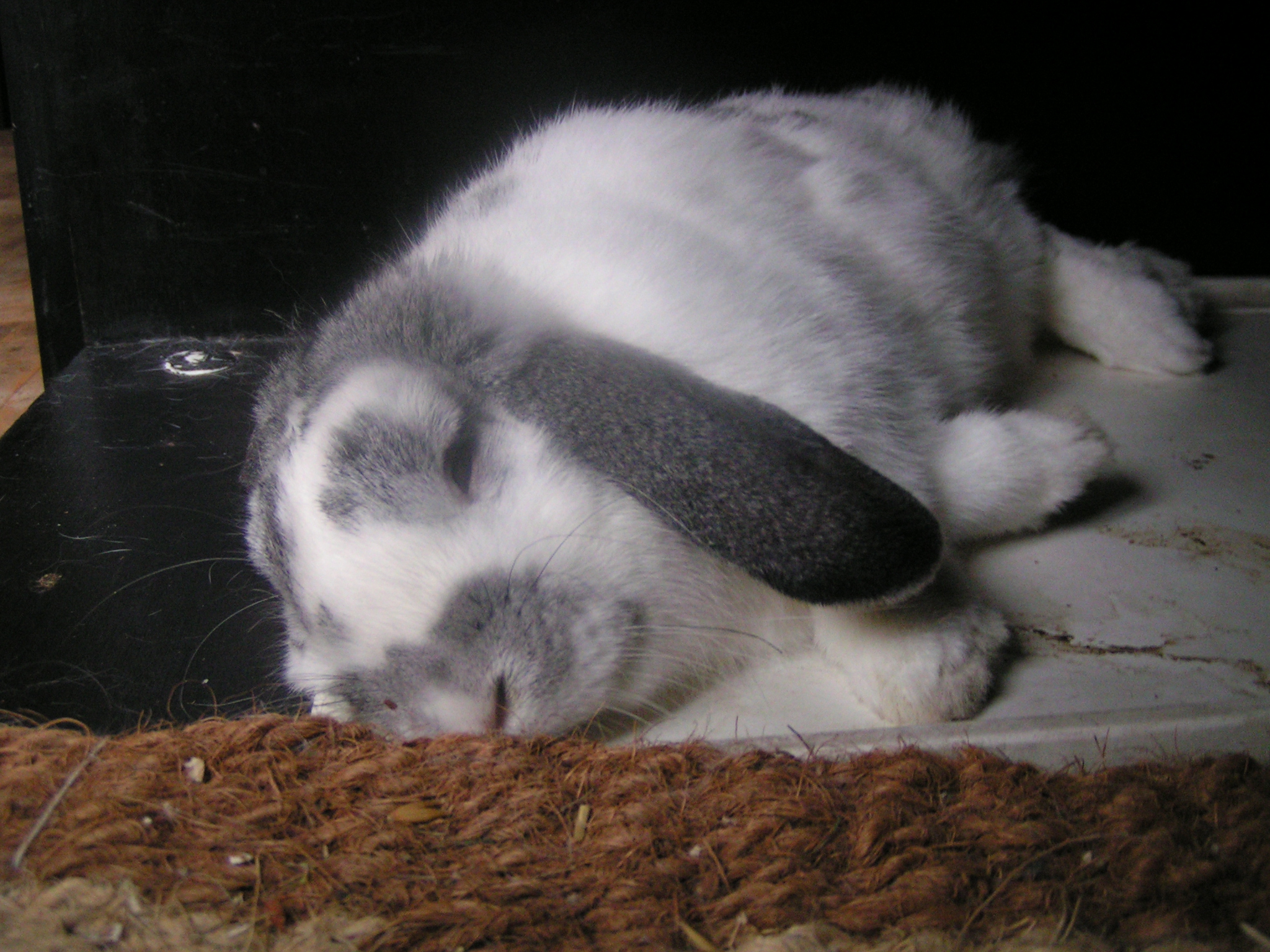 PICT0093.JPG